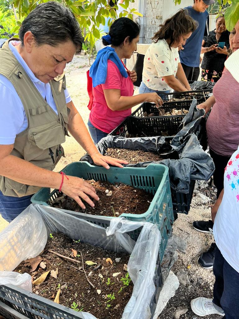 Gobierno municipal invita a producir sus propios alimentos, con huertos orgánicos