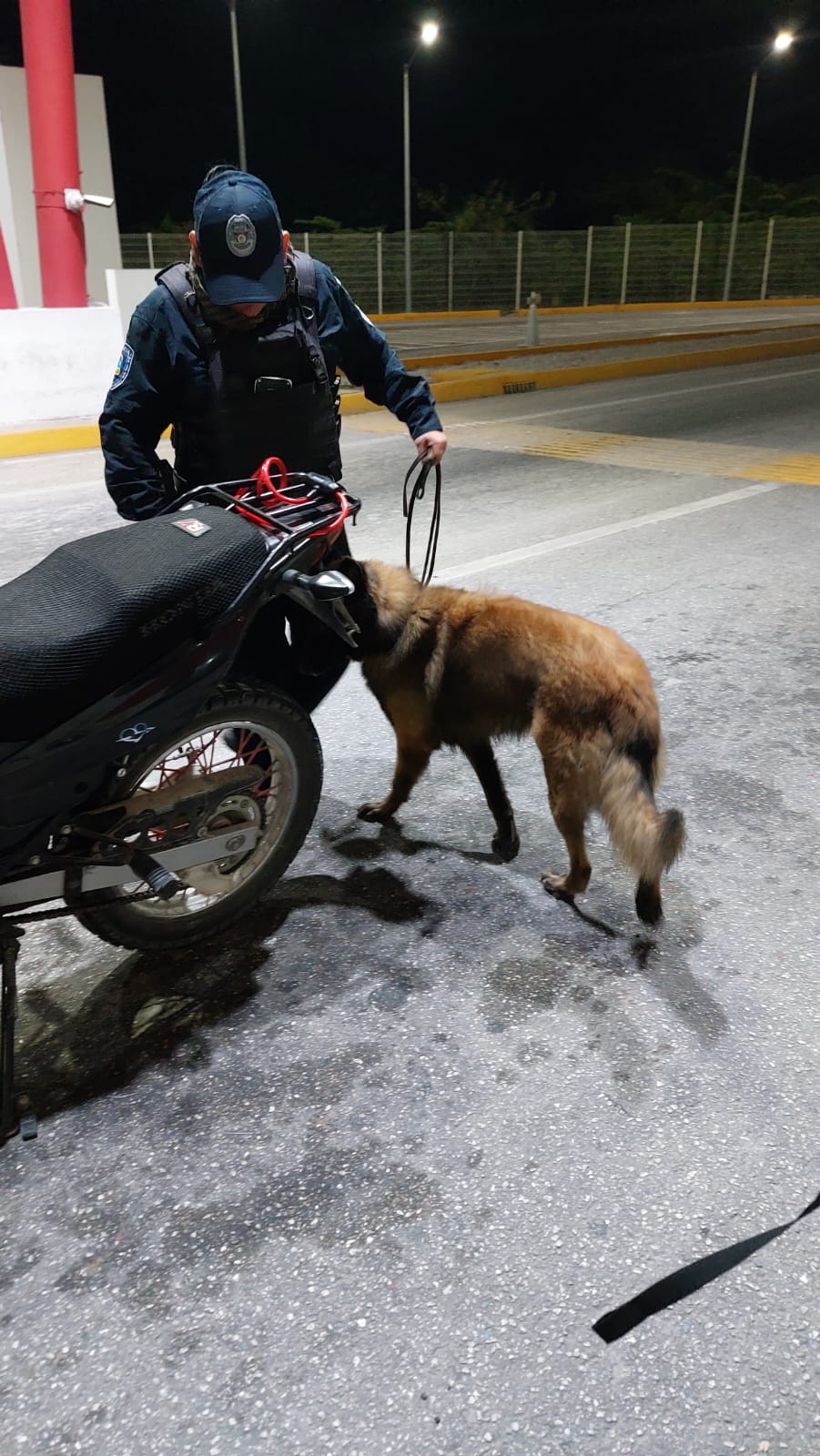 Con elementos de la Unidad Canina refuerzan la vigilancia en la carretera de Huaypix