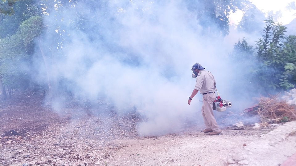 Lázaro Cárdenas busca contrarrestar casos de dengue