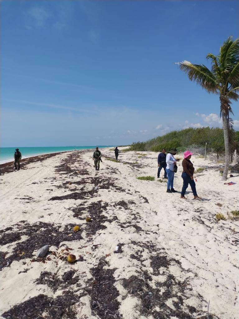 Reportan 60 personas halladas con vida de casi 400 desaparecidas en Quintana Roo