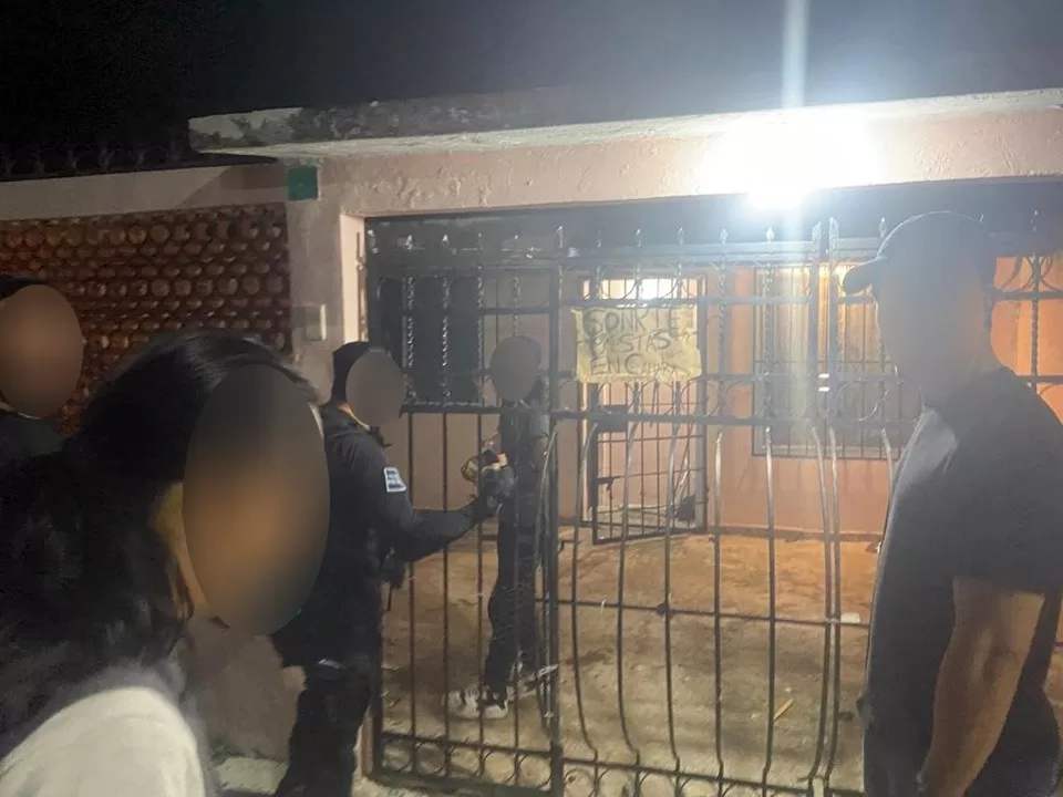 Rescatan en Cancún a una canina y 4 cachorros por posible maltrato animal