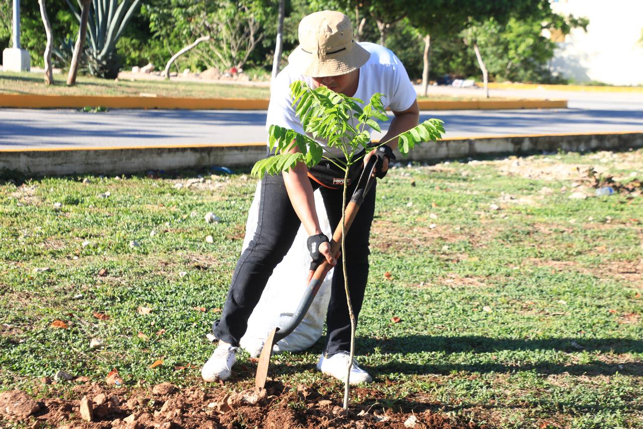 Son restauradas áreas verdes en Villas del Sol