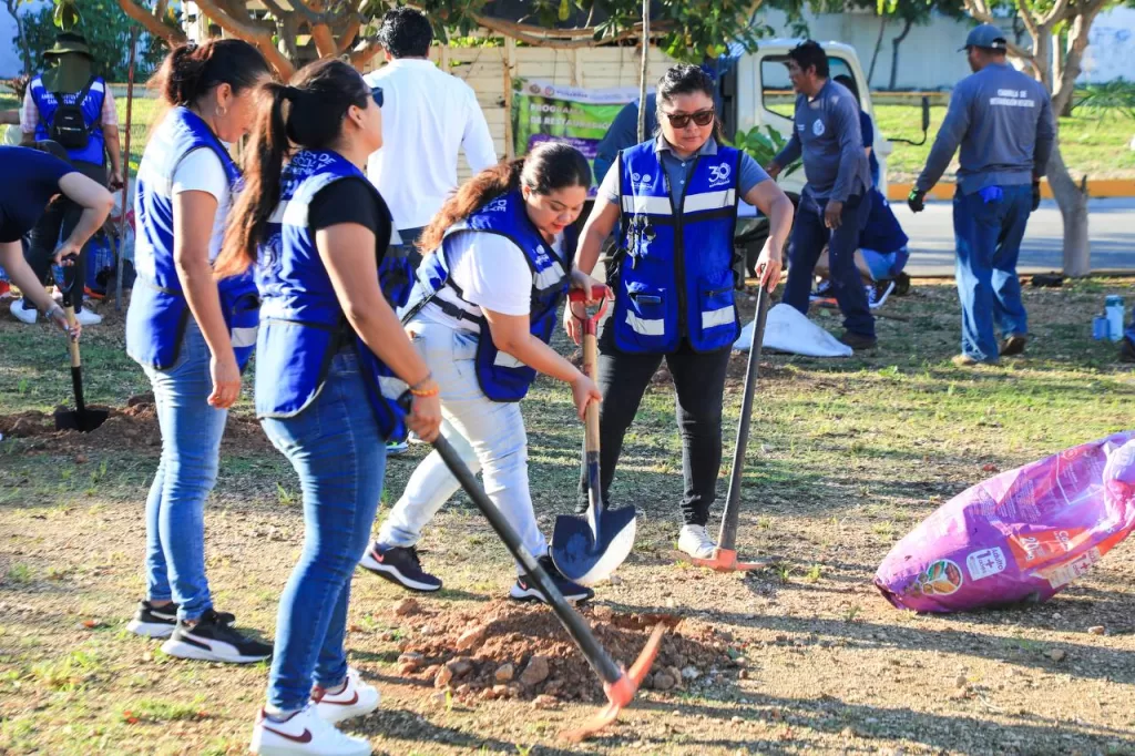 Son restauradas áreas verdes en Villas del Sol