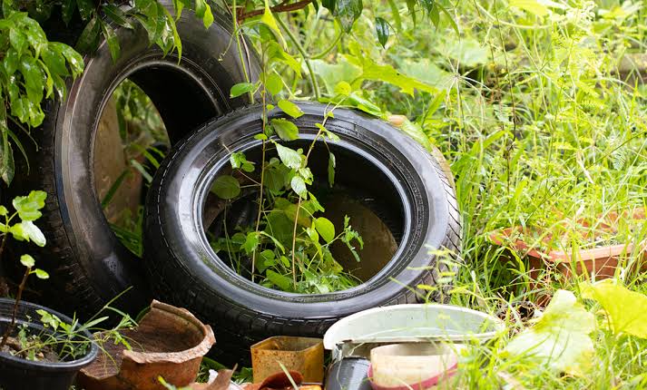 Colonias más antiguas y zonas irregulares con mayor incidencia de dengue