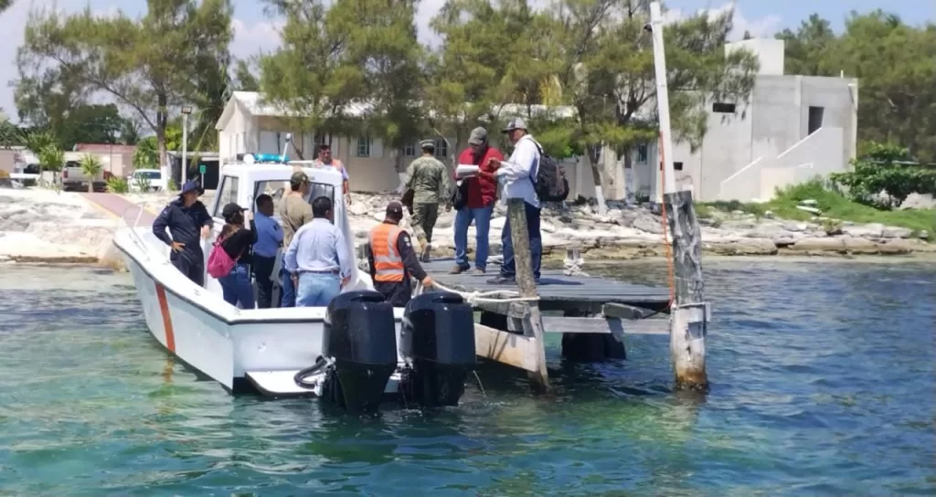 Extraen caracol rosado ilegalmente de Puerto Juárez