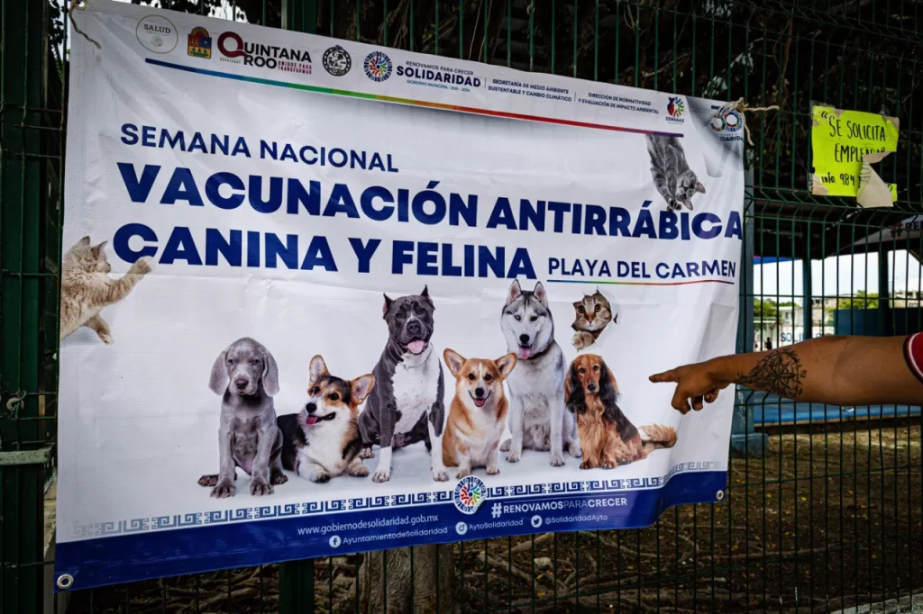 Sigue con éxito campaña de vacunación antirrábica en Solidaridad