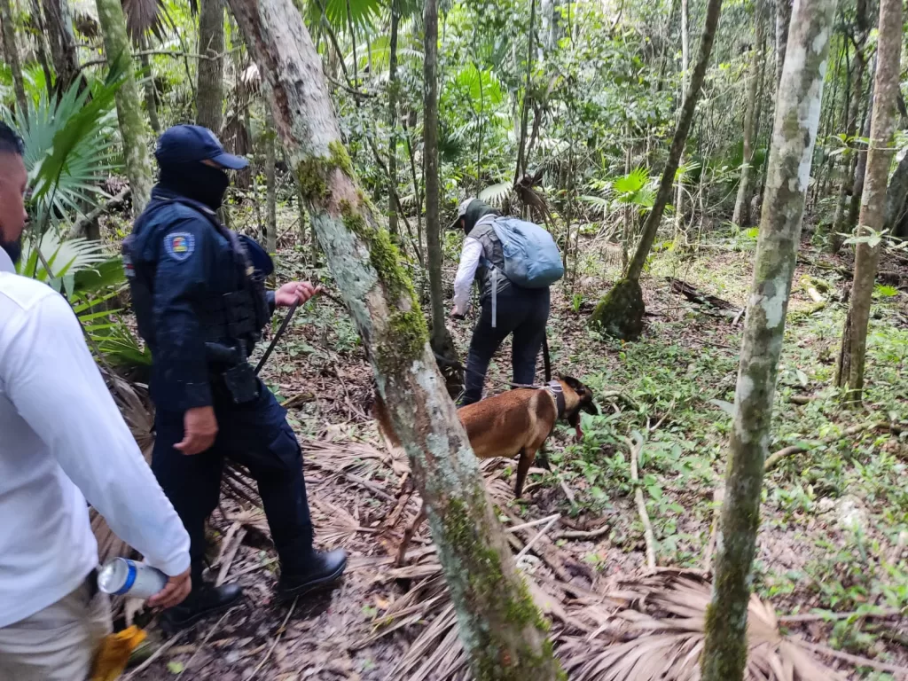 La Unidad Canina realiza más de 7,800 inspecciones en la entidad