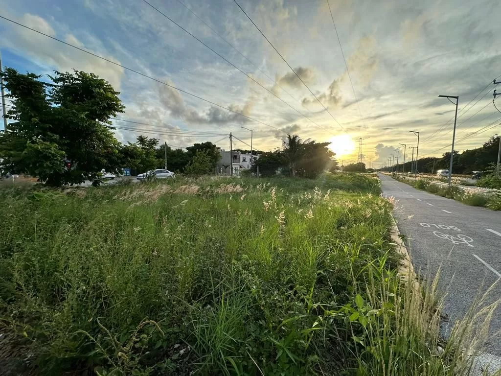 Intensifican los trabajos de limpieza del Parque de la Equidad en Cancún