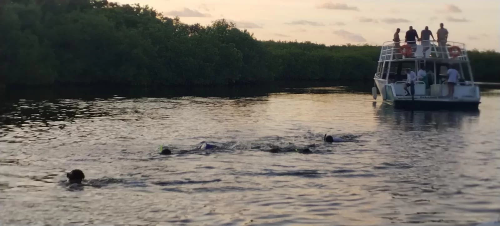 Plásticos contaminan las profundidades del canal nizuc 