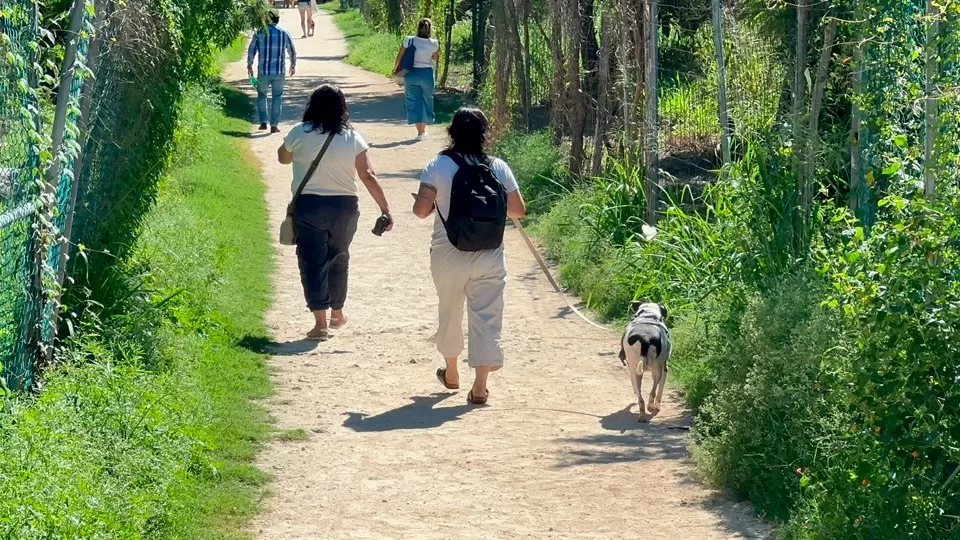 Playa del Carmen tendrá un cementerio exclusivo para mascotas