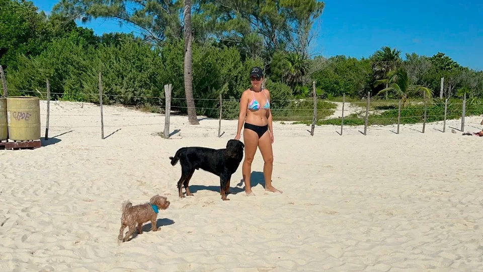 Playa del Carmen tendrá un cementerio exclusivo para mascotas