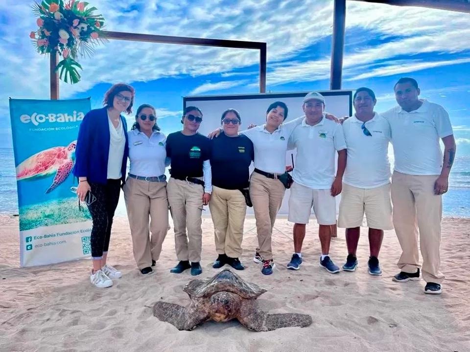 Eco-Bahía celebra la liberación de más de 191 mil crías de tortugas