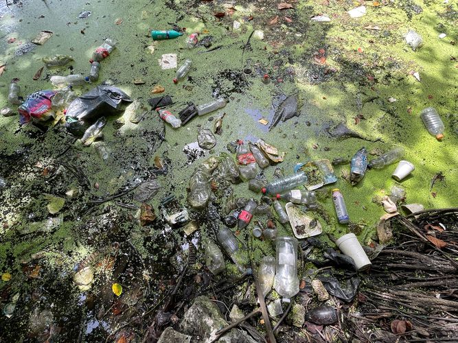 Contaminación alarmante en cenotes urbanos