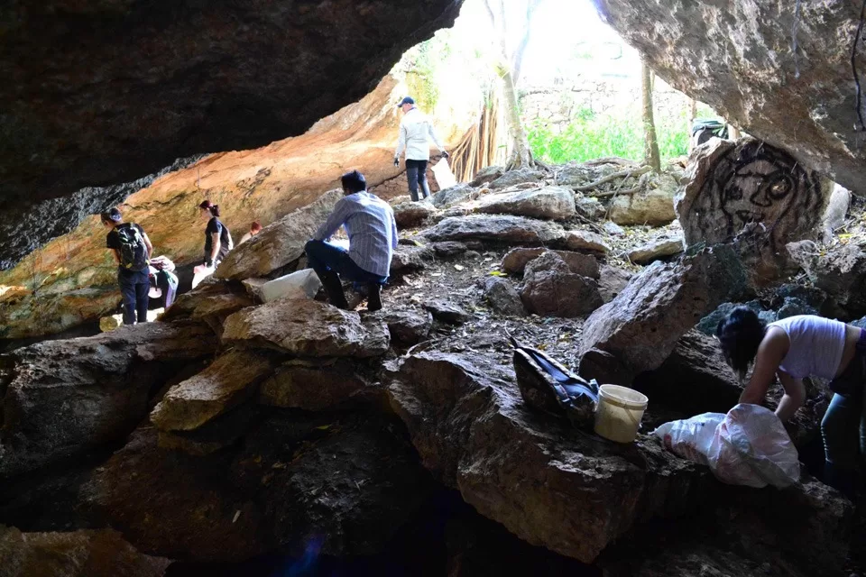 Fundación Eco-Bahía destaca logros de su programa de limpieza de playas y cenotes