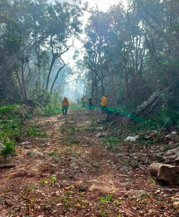 Clave la prevención en Quintana Roo ante la temporada de incendios