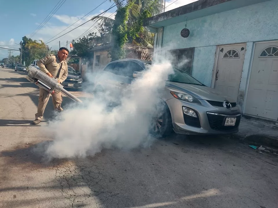 Intensifican las acciones para combatir el dengue en Quintana Roo