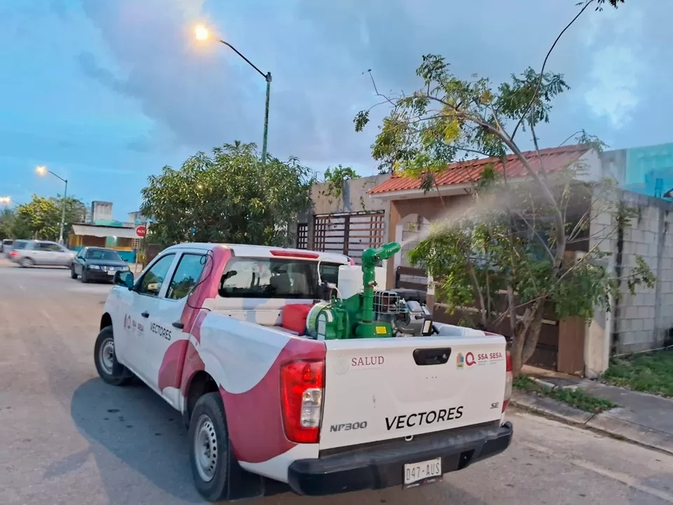 Intensifican las acciones para combatir el dengue en Quintana Roo