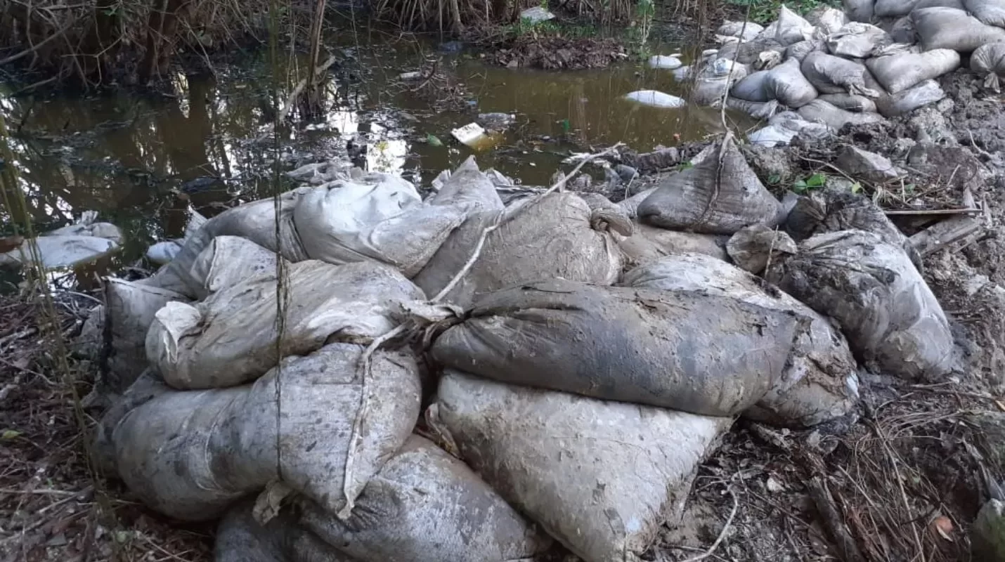 Lagunas las más afectadas por la contaminación