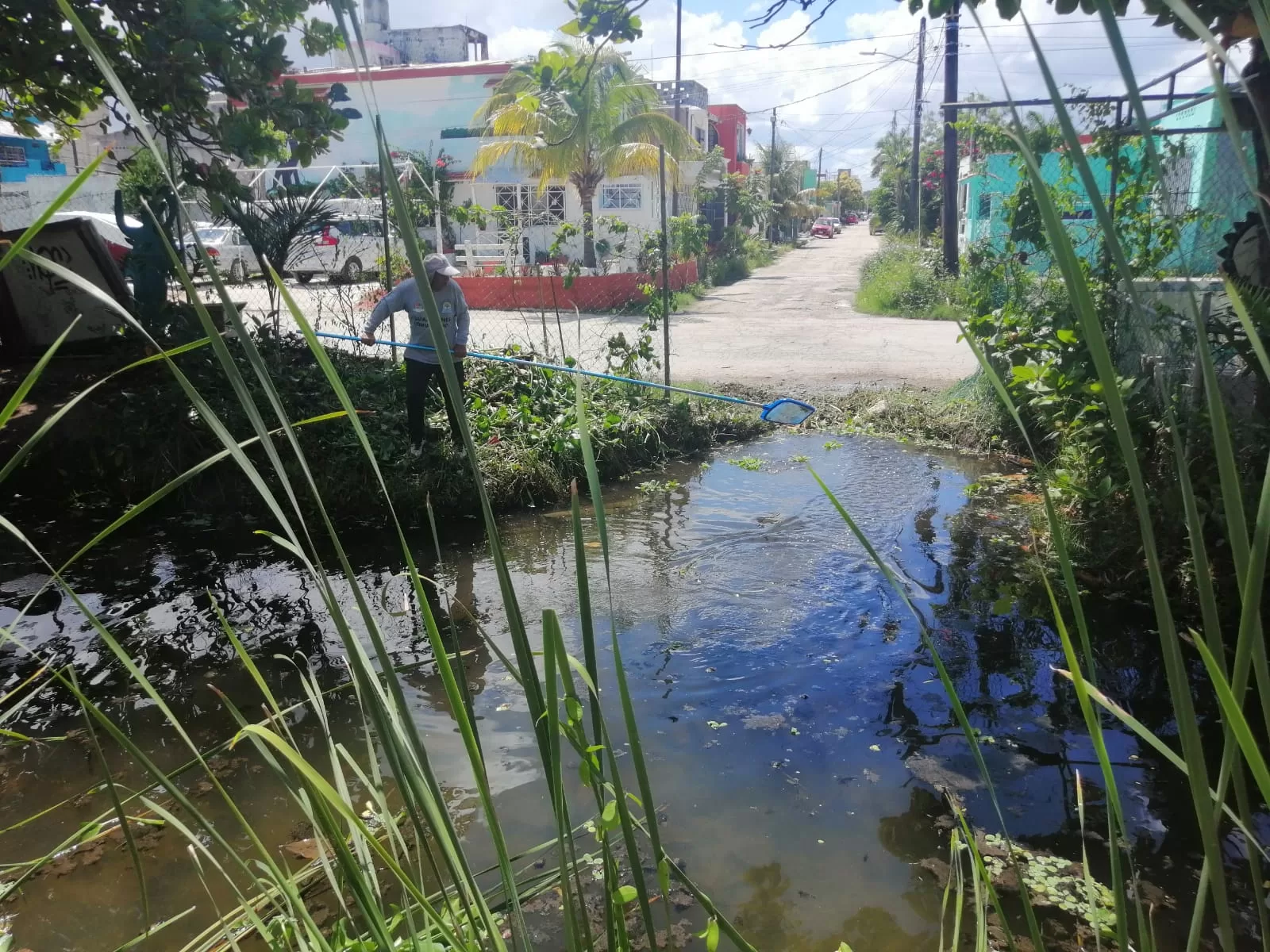 Protegen de amenazas a la reserva de la laguna del manatí