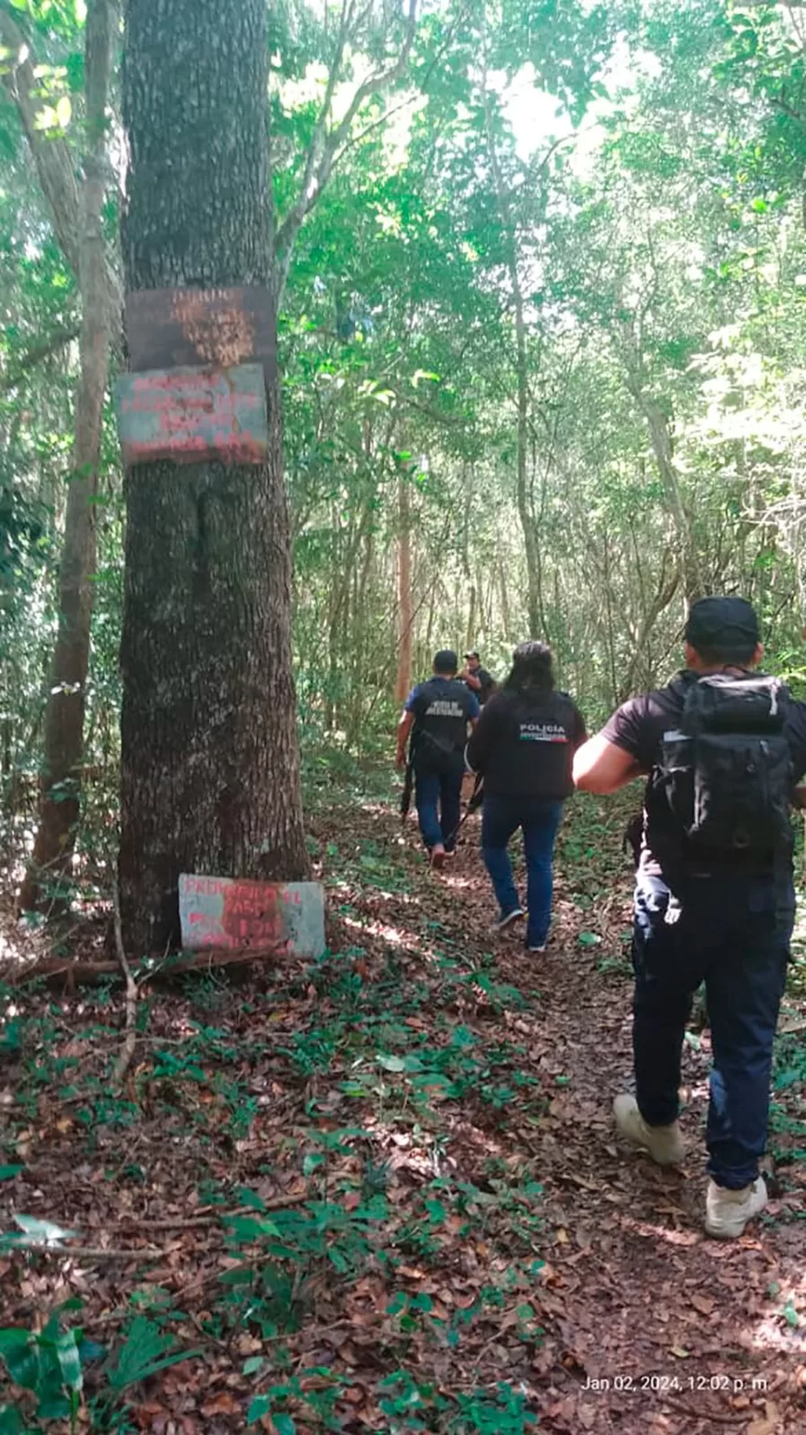 Buscan al “tirador fantasma” en montes aledaños a Felipe Carrillo Puerto