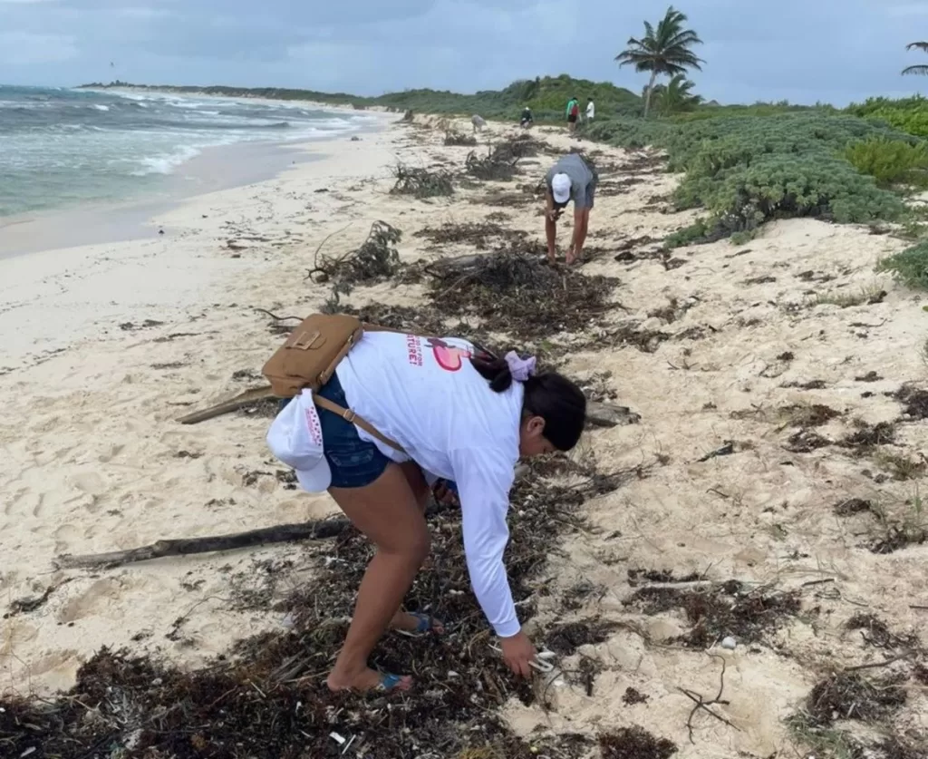 Retiran 95 kilos de desechos en la limpieza de playas en el Parque Ecoturístico Punta Sur