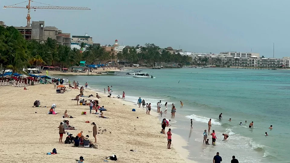 Se anticipa este año un arribo de sargazo similar al 2023 en Playa del Carmen