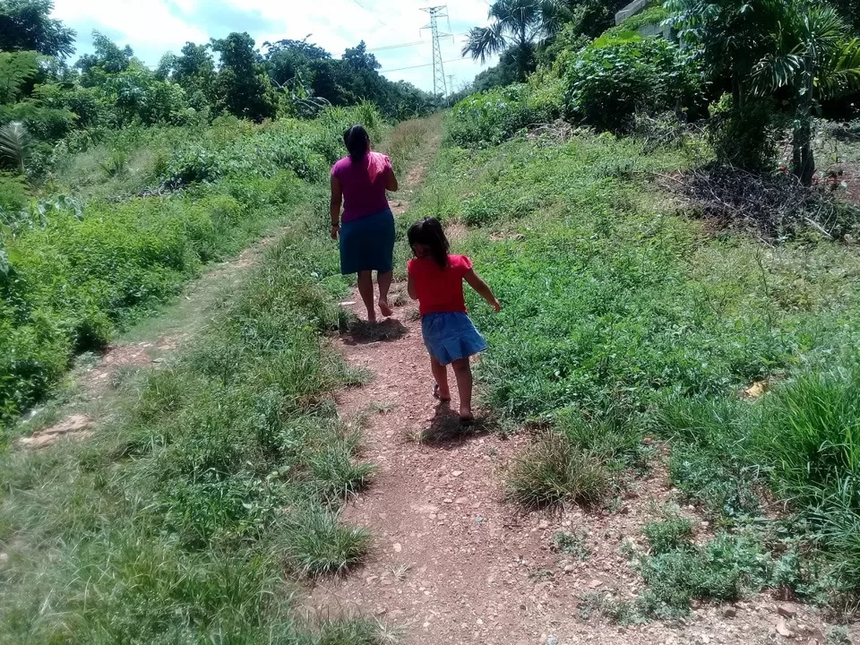 Ganaderos de Lázaro Cárdenas exigen mantenimiento urgente de los caminos