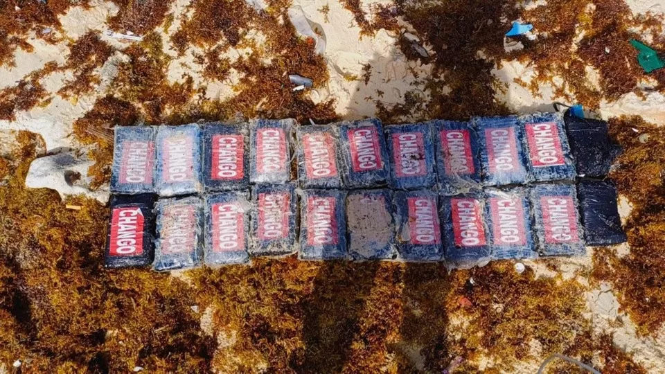 Recala en playas de Cozumel más de 20 kilos de cocaína valuada en 6 millones de pesos