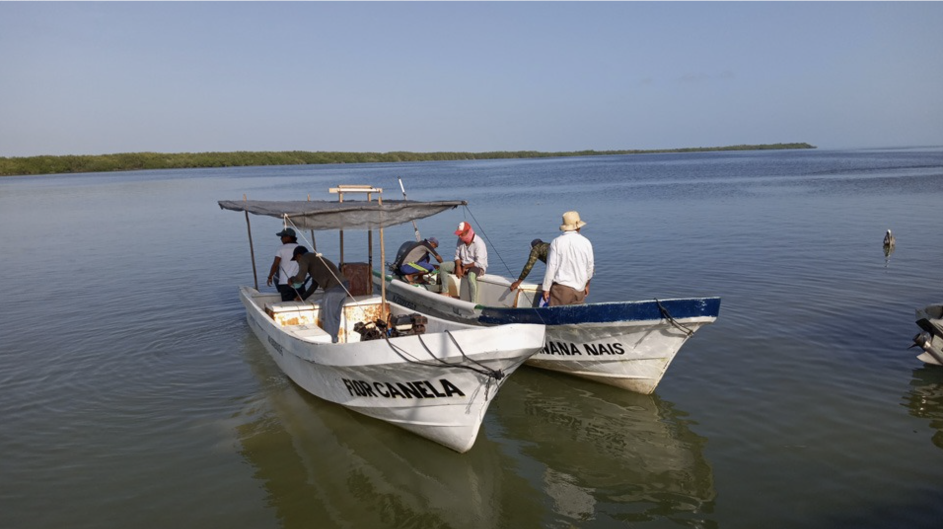 Desaparición de pescador en Chiquilá moviliza a autoridades y comunidad marítima