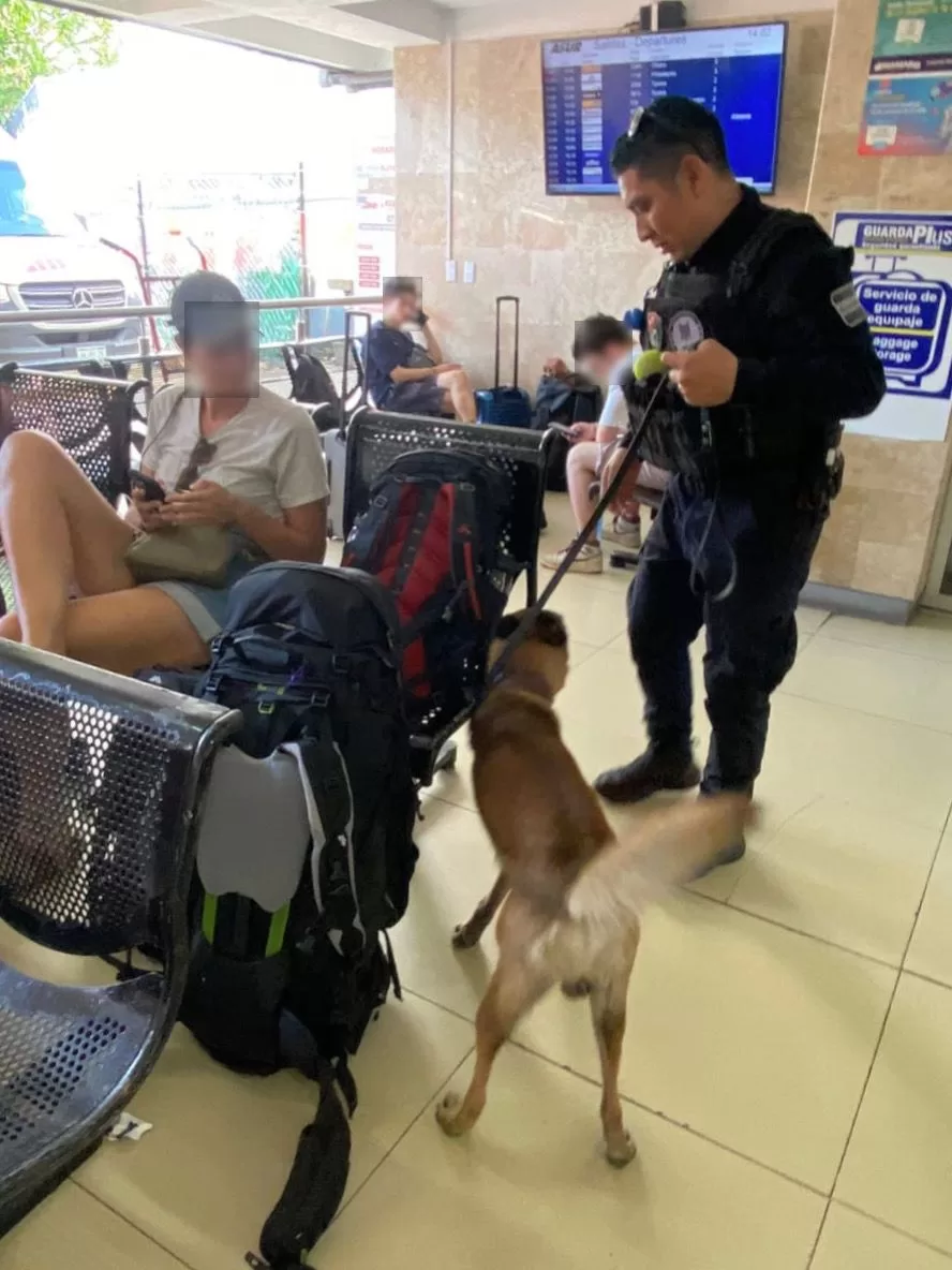 Por próximas vacaciones, refuerzan presencia policiaca en lugares de más movimiento en Quintana Roo