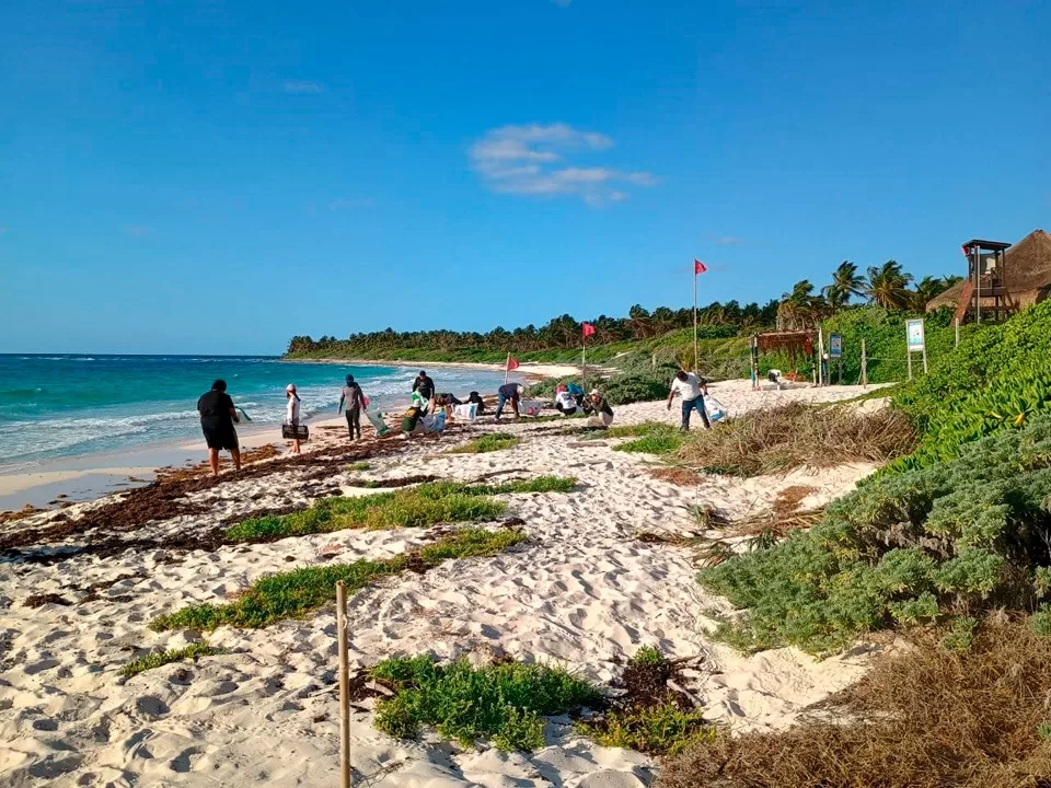 Importante contribución de Eco-Bahía para recuperar la belleza de las playas