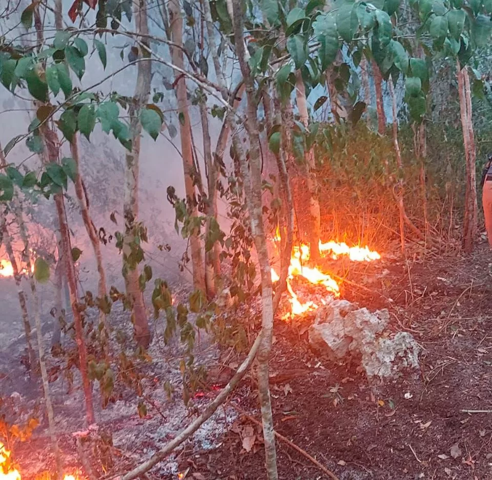 Ya se reportan incendios forestales en 5 municipios