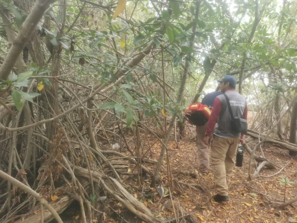 Intensa búsqueda de extranjero desaparecido en Cozumel