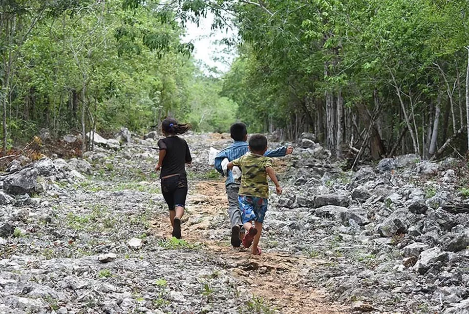 Reforma el Congreso el Código Penal para proteger a la infancia