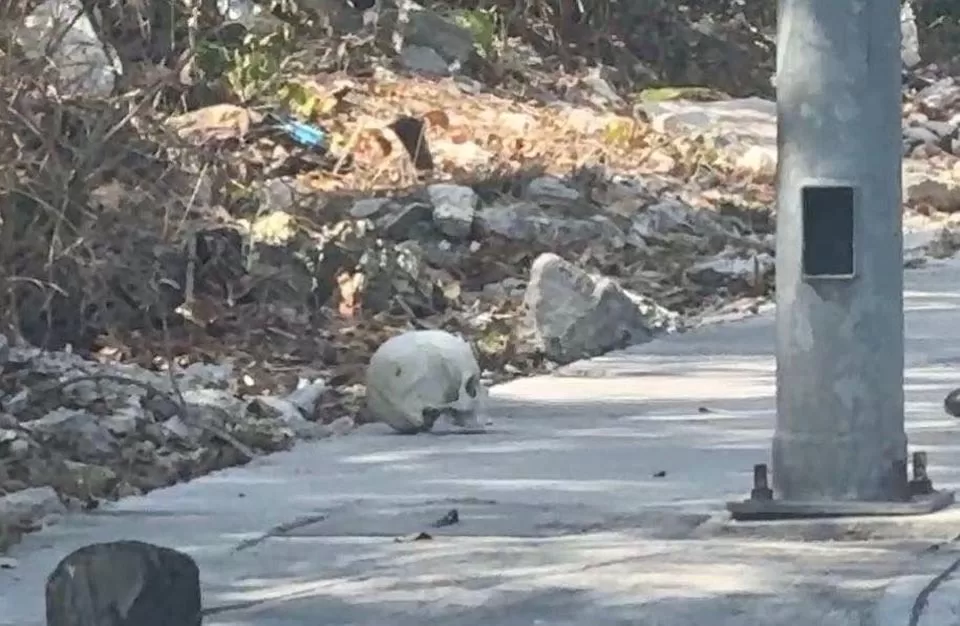 Abandonan cráneo humano en una banqueta de la Nicte Ha