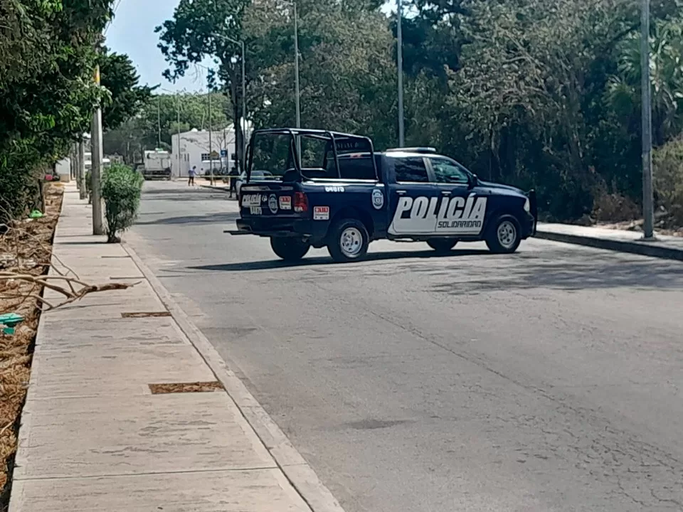 Abandonan cráneo humano en una banqueta de la Nicte Ha