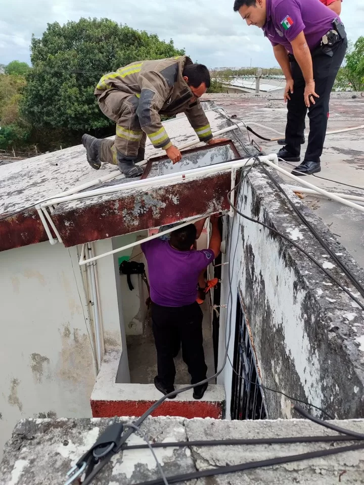 Bajo resguardo del DIF dos menores que enfrentaban situación de alto riesgo en Cancún