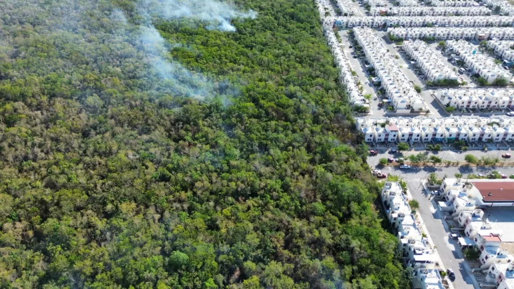 Humo de incendio forestal afecta a vecinos de fraccionamiento en Playa del Carmen