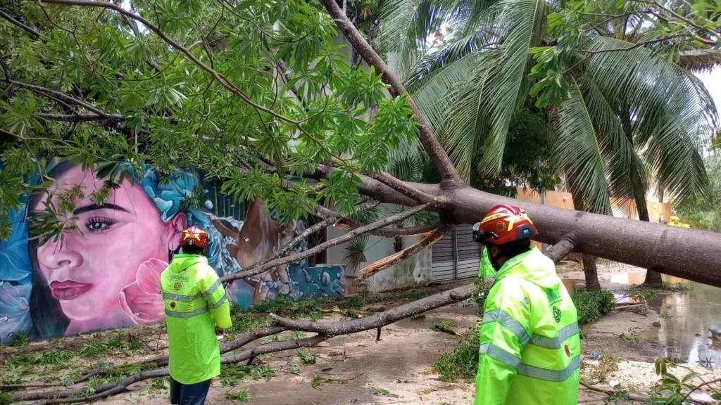 No bajan la guardia en Solidaridad y se refuerzan operativos de limpieza por lluvias