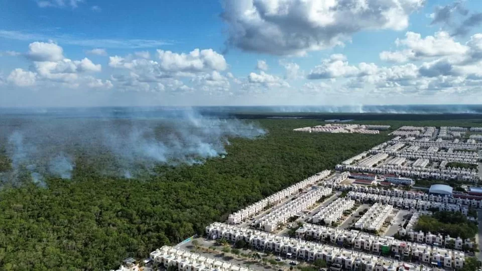 Brigada Ocelotes trabaja arduamente para sofocar incendio en Playa del Carmen