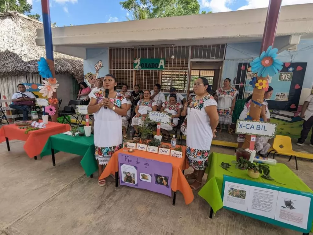 Educadores indígenas promueven la medicina tradicional como alternativa