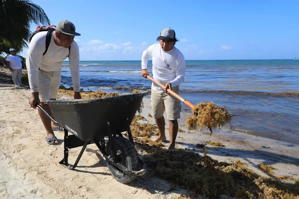 Reconocimiento Internacional a Playa por manejo del sargazo