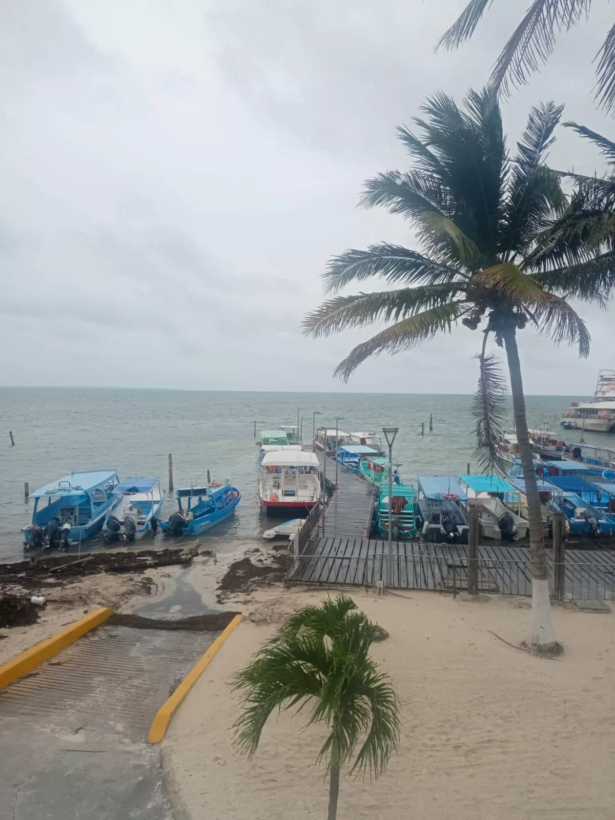 Todos los puertos de Quintana Roo están abiertos a la navegación mayor y menor