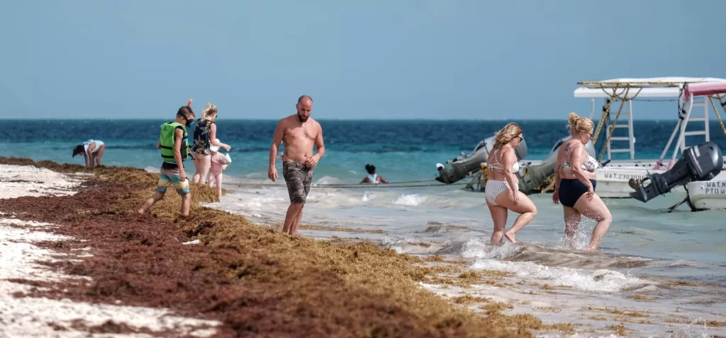 Predominan hoy las playas de Quintana Roo con abundancia de sargazo