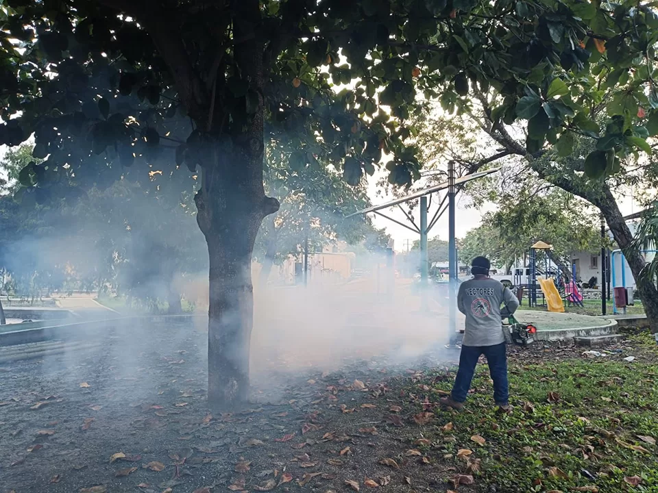 Campaña contra enfermedades transmitidas por vector en Tulum