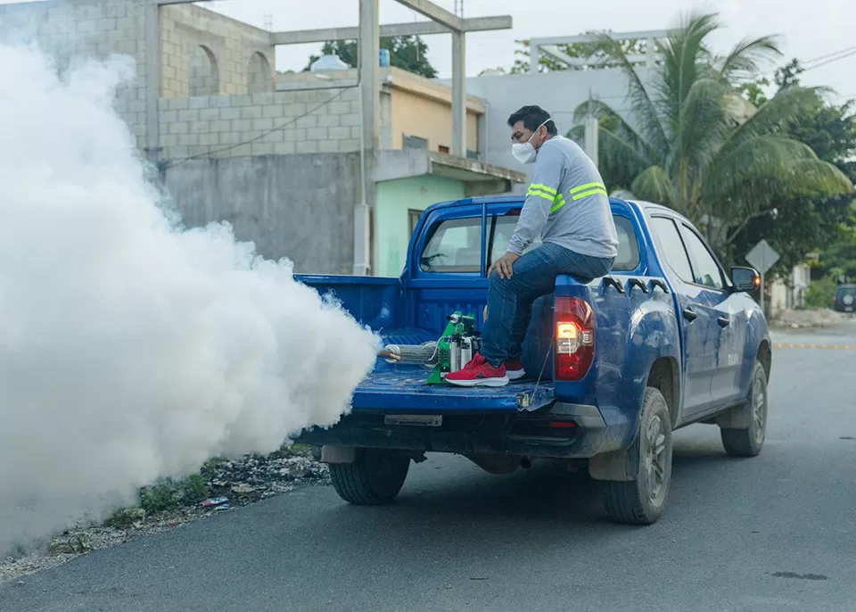 Campaña contra enfermedades transmitidas por vector en Tulum