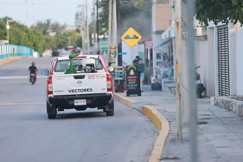 Previenen enfermedades transmitidas por mosquitos en Isla Mujeres