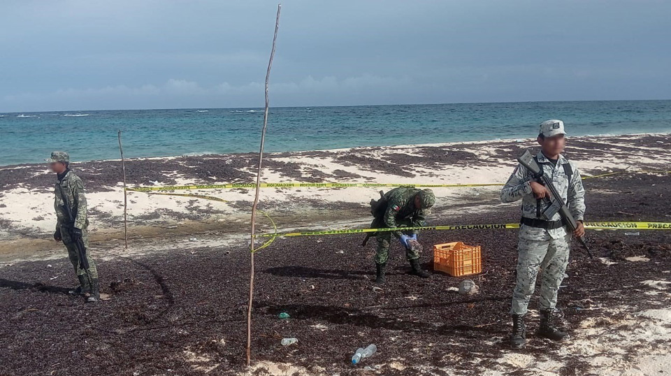 Encuentran paquetes con droga entre sargazo que recaló en playa de Cozumel