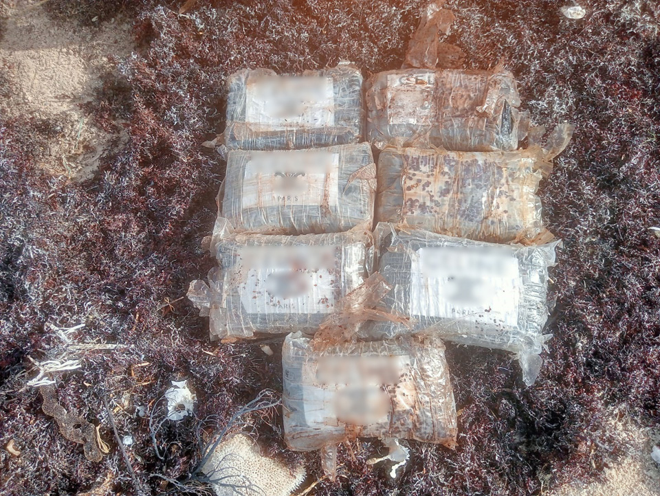 Encuentran paquetes con droga entre sargazo que recaló en playa de Cozumel