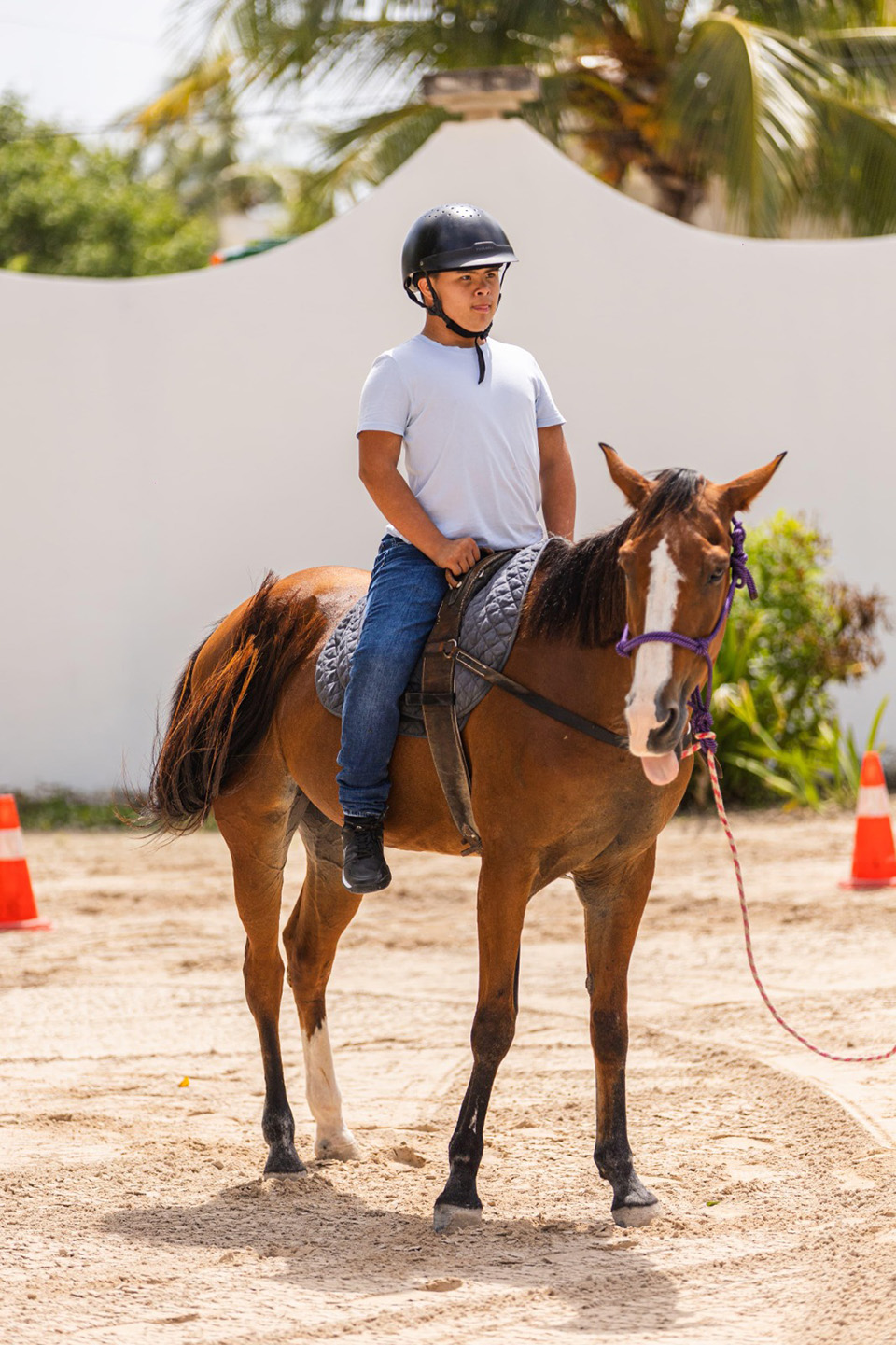 Reabre el DIF- Tulum un remodelado Centro de Equinoterapia